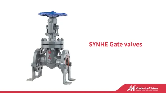 Synhe SS304 Stainless Steel ANSI API Solid Wedge Gate Valve Flange Cast Iron Manual Gate Valve Control Valve